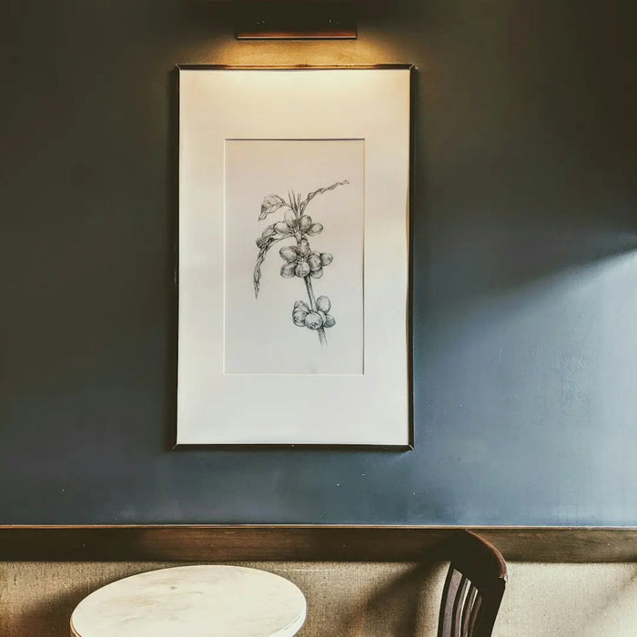 Framed botanical sketch of a flowering plant with elegant picture frame lighting.