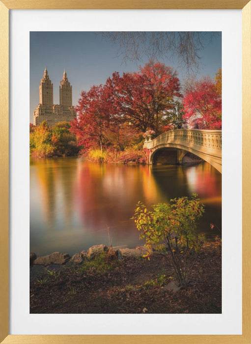 Fall in Central Park Framed Art Modern Wall Decor