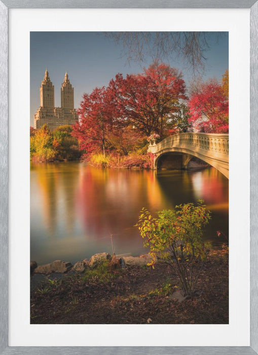 Fall in Central Park Framed Art Modern Wall Decor