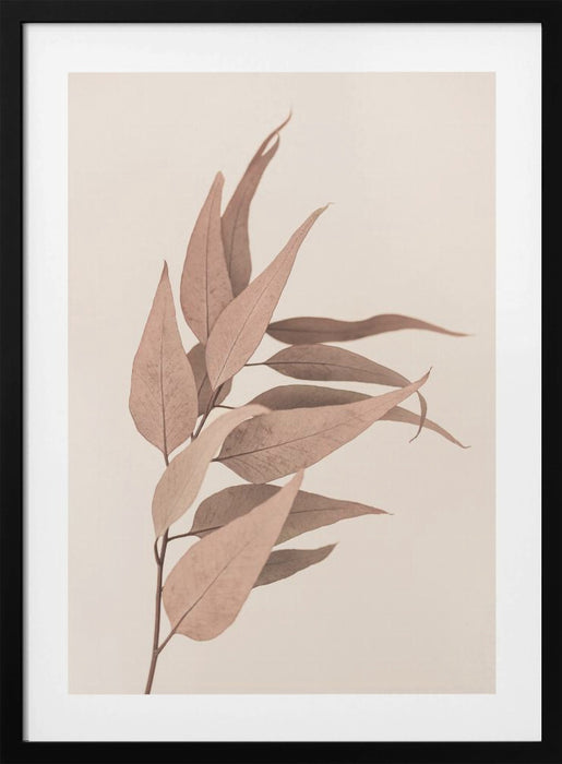 Dried Eucalyptus Framed Art Modern Wall Decor