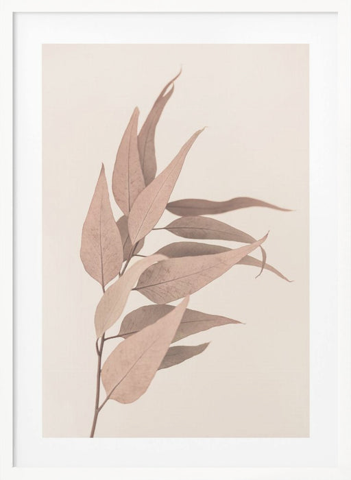 Dried Eucalyptus Framed Art Modern Wall Decor