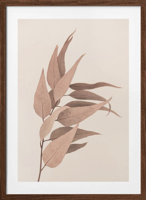 Dried Eucalyptus Framed Art Modern Wall Decor