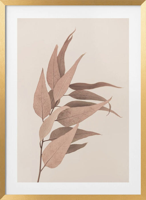 Dried Eucalyptus Framed Art Modern Wall Decor