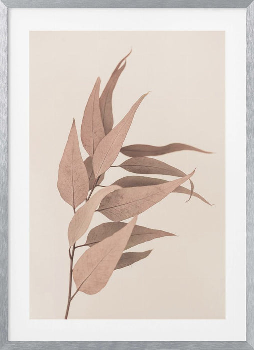 Dried Eucalyptus Framed Art Modern Wall Decor