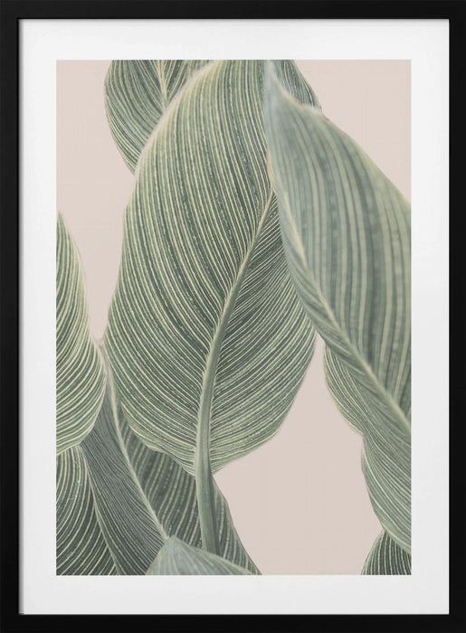 Calla Leaf Framed Art Modern Wall Decor