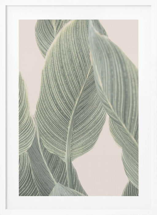 Calla Leaf Framed Art Modern Wall Decor