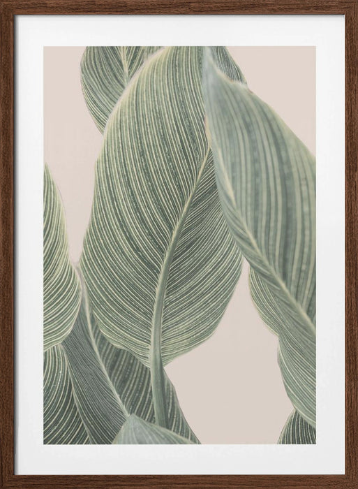 Calla Leaf Framed Art Modern Wall Decor