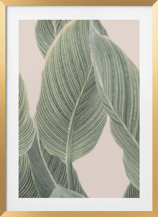 Calla Leaf Framed Art Modern Wall Decor