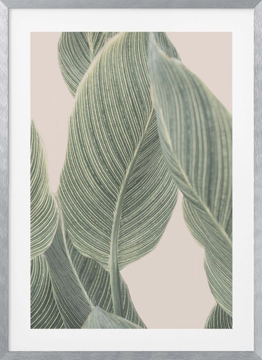 Calla Leaf Framed Art Modern Wall Decor