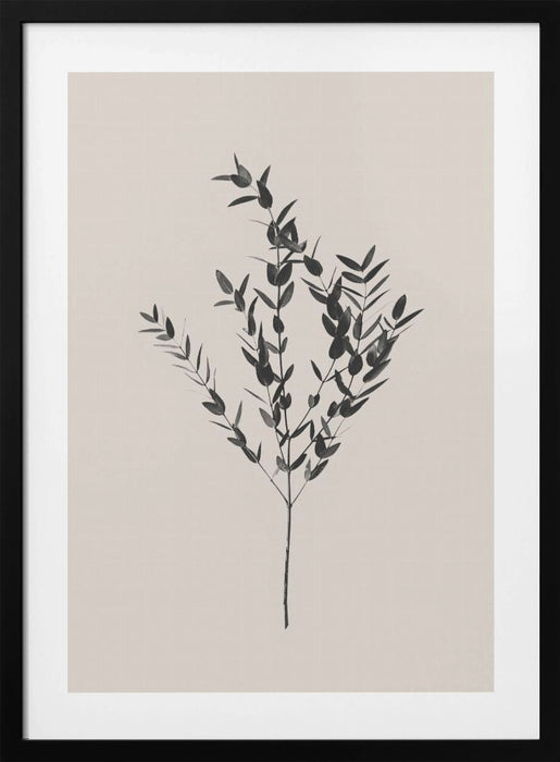 Inky Botanical Framed Art Modern Wall Decor