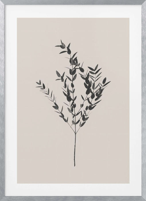 Inky Botanical Framed Art Modern Wall Decor