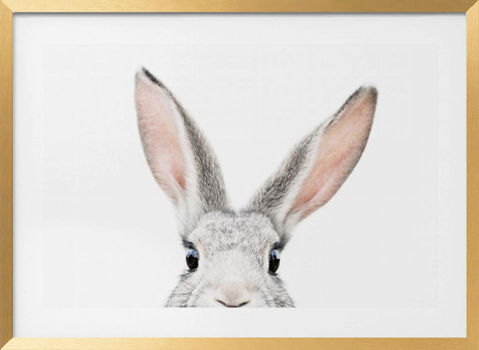 Bunny Landscape Framed Art Peeking Bunny with Scenic Background - Perfect Wall Decor for Any Room