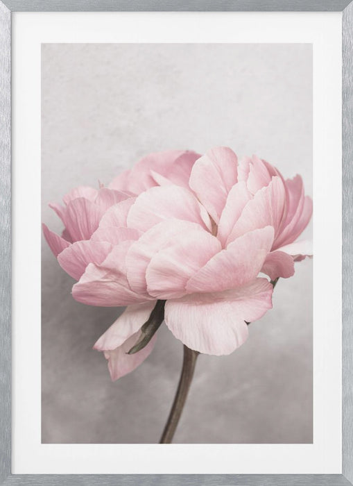 Peony Framed Art Modern Wall Decor