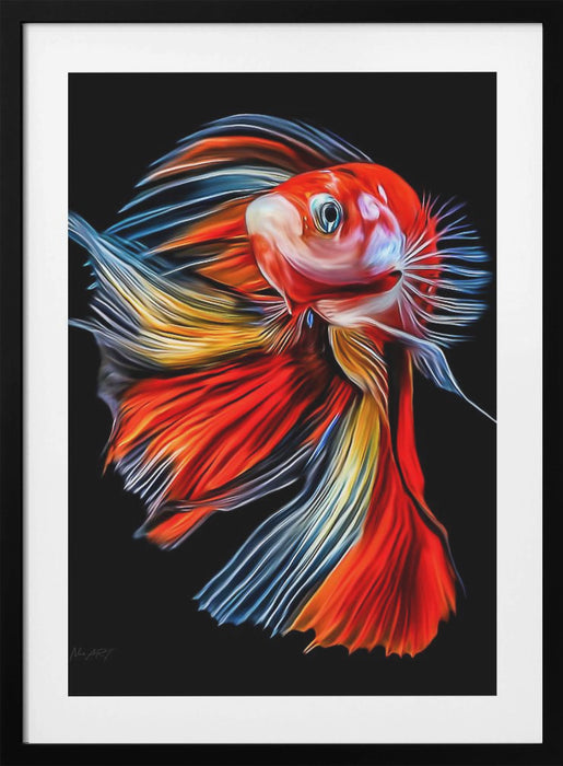 Colorful Fish Framed Art Modern Wall Decor