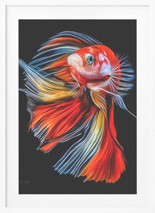 Colorful Fish Framed Art Modern Wall Decor