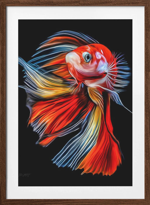 Colorful Fish Framed Art Modern Wall Decor