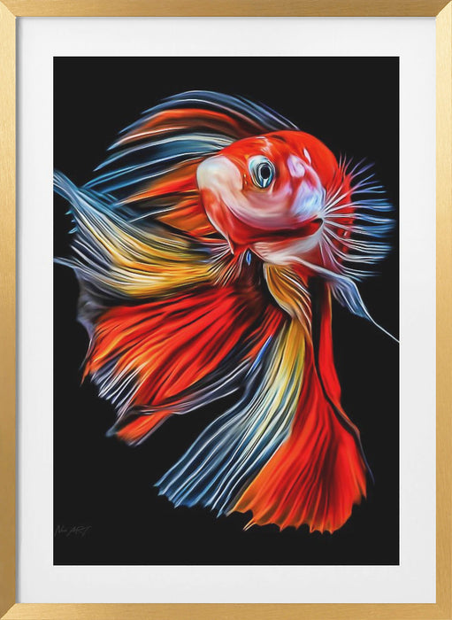 Colorful Fish Framed Art Modern Wall Decor