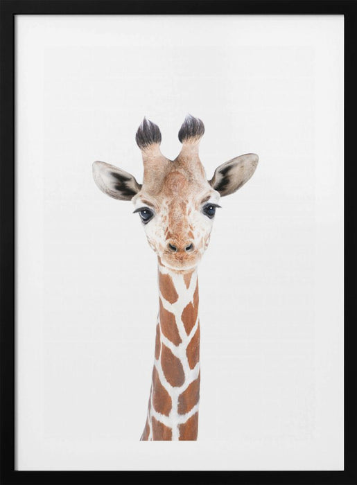 Baby Giraffe Framed Art Modern Wall Decor