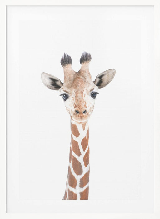 Baby Giraffe Framed Art Modern Wall Decor