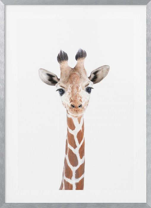 Baby Giraffe Framed Art Modern Wall Decor