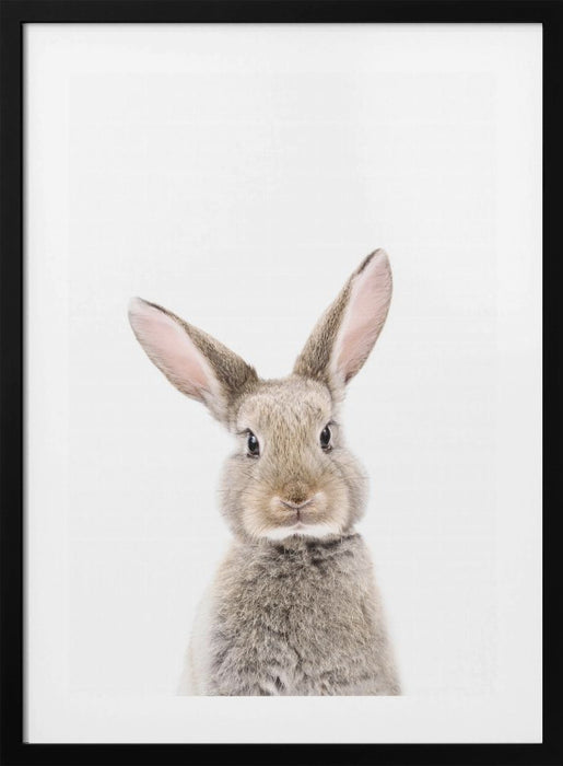 Baby Rabbit Framed Art Modern Wall Decor