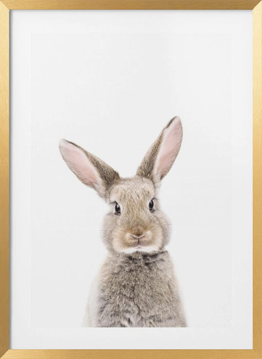 Baby Rabbit Framed Art Modern Wall Decor