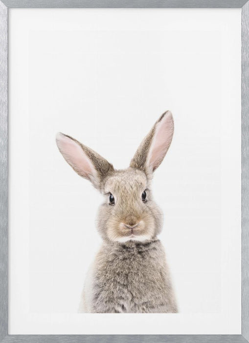 Baby Rabbit Framed Art Modern Wall Decor