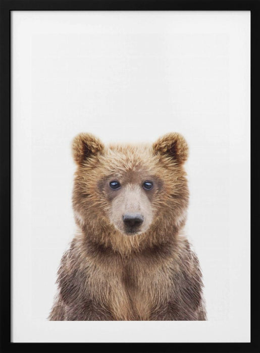 Baby Bear Framed Art Modern Wall Decor