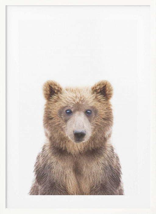 Baby Bear Framed Art Modern Wall Decor