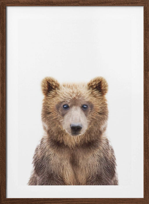 Baby Bear Framed Art Modern Wall Decor