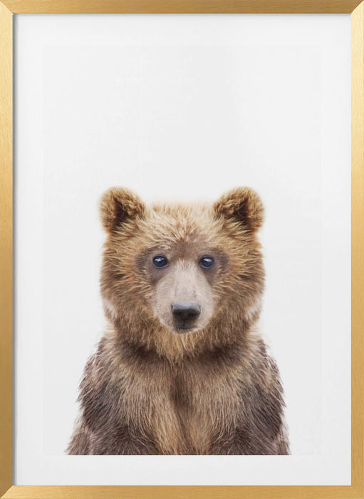 Baby Bear Framed Art Modern Wall Decor