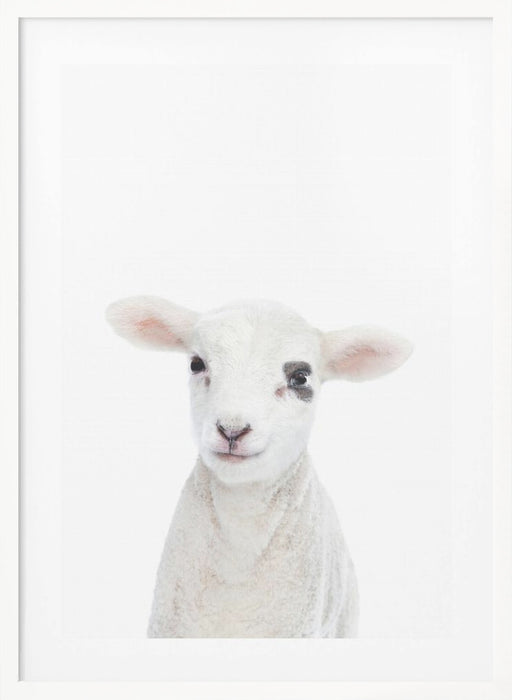 Baby Lamb Framed Art Modern Wall Decor