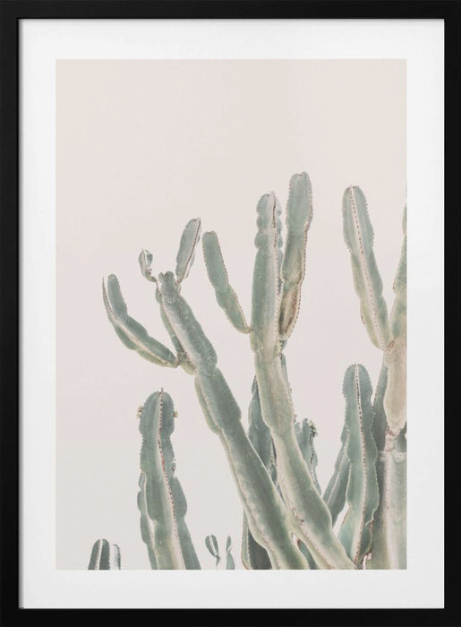 Sunrise Cactus Framed Art Modern Wall Decor