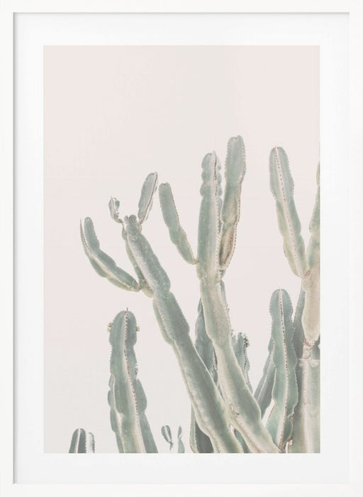 Sunrise Cactus Framed Art Modern Wall Decor