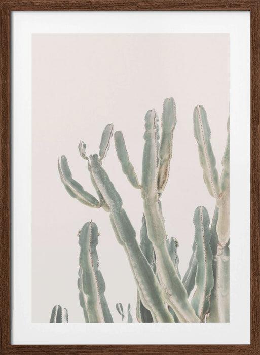 Sunrise Cactus Framed Art Modern Wall Decor