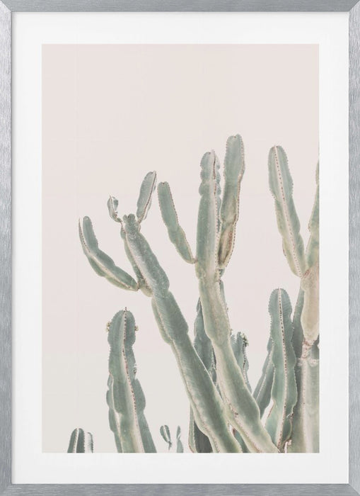 Sunrise Cactus Framed Art Modern Wall Decor