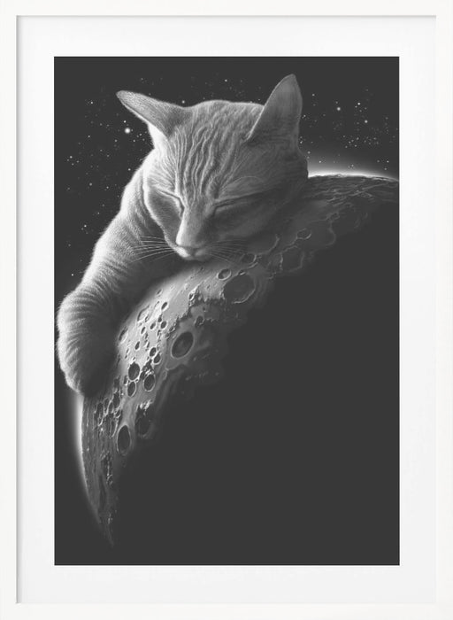 mooncat Framed Art Modern Wall Decor