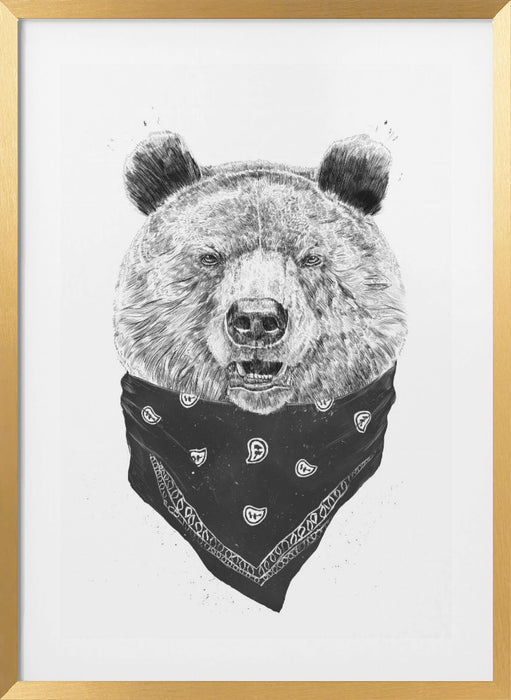 Wild bear Framed Art Modern Wall Decor