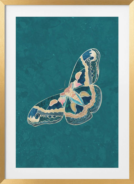 Turquoise Gold Moth Butterfly Framed Art Modern Wall Decor