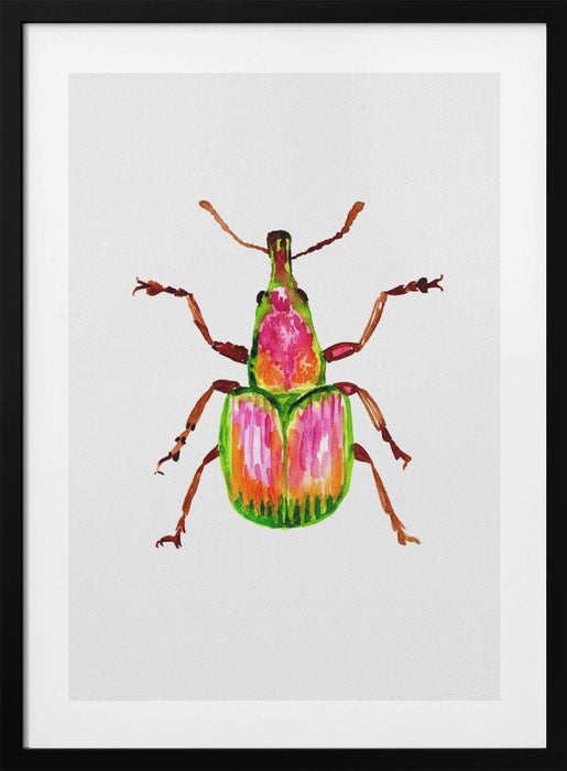 Apricot weevil or Epirhynchites auratus Framed Art Modern Wall Decor