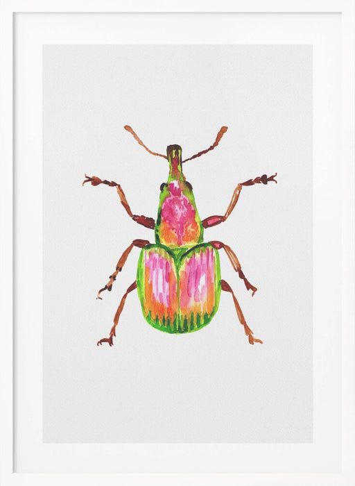 Apricot weevil or Epirhynchites auratus Framed Art Modern Wall Decor