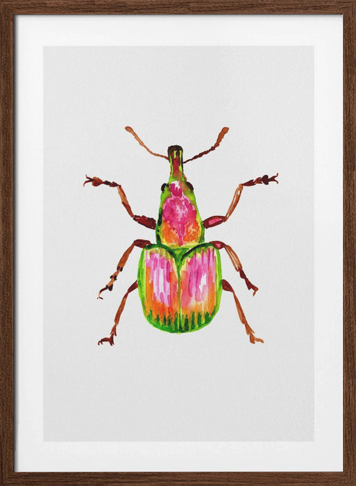 Apricot weevil or Epirhynchites auratus Framed Art Modern Wall Decor