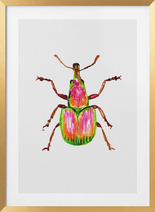 Apricot weevil or Epirhynchites auratus Framed Art Modern Wall Decor