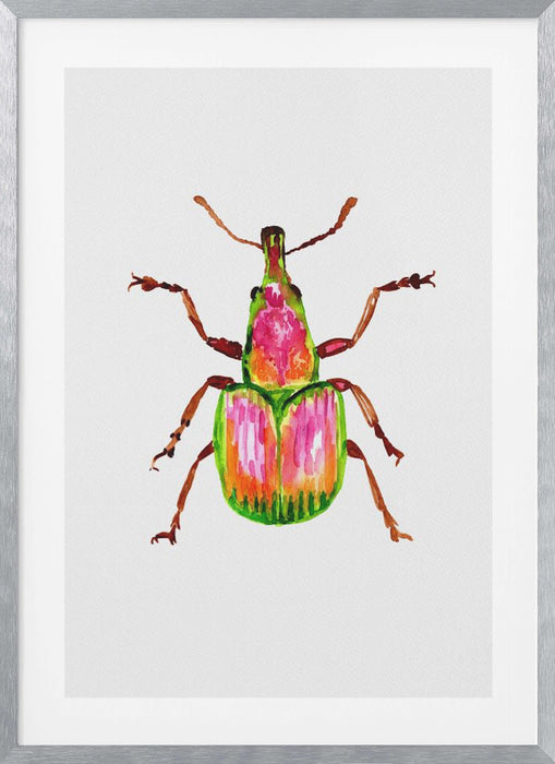 Apricot weevil or Epirhynchites auratus Framed Art Modern Wall Decor