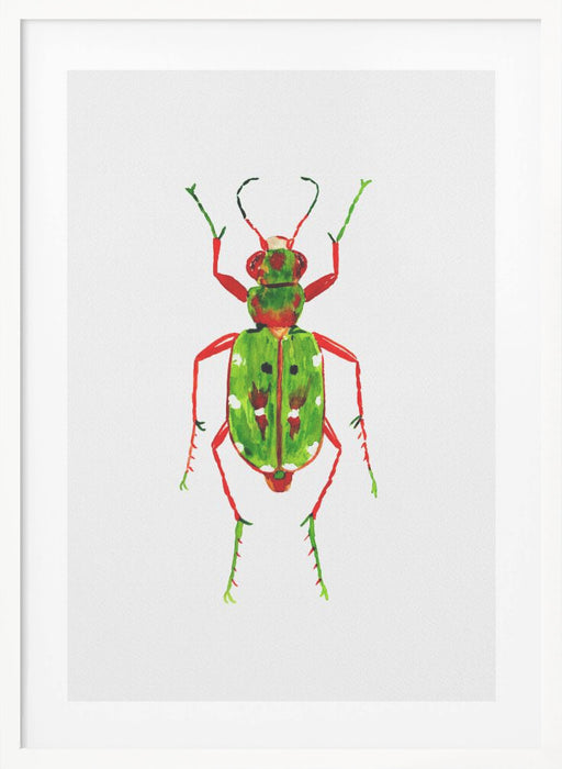 Green tiger beetle or Cicindela campestris Framed Art Wall Decor