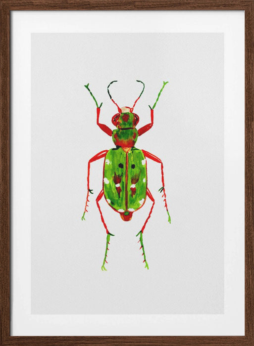 Green tiger beetle or Cicindela campestris Framed Art Wall Decor