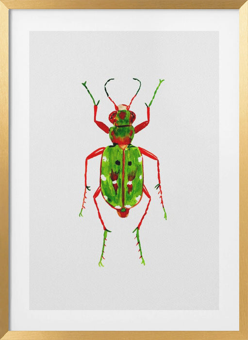 Green tiger beetle or Cicindela campestris Framed Art Wall Decor