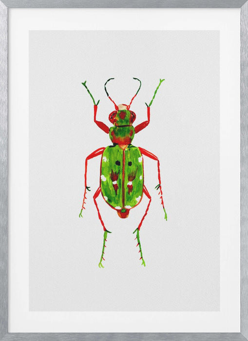 Green tiger beetle or Cicindela campestris Framed Art Wall Decor