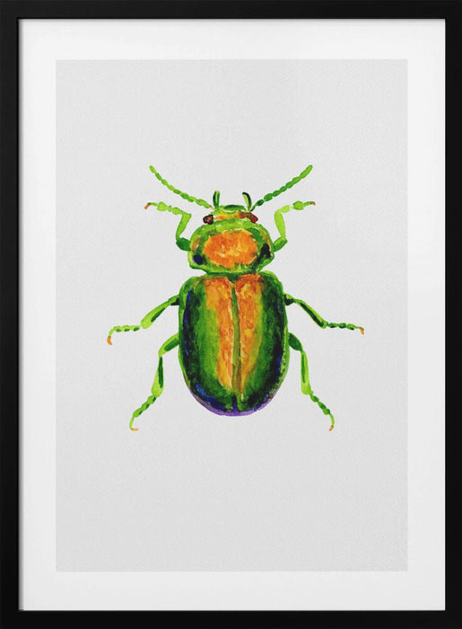 Tansy beetle or Chrysolina graminis Framed Art Wall Decor