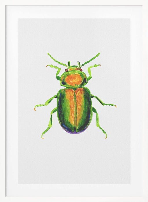 Tansy beetle or Chrysolina graminis Framed Art Wall Decor